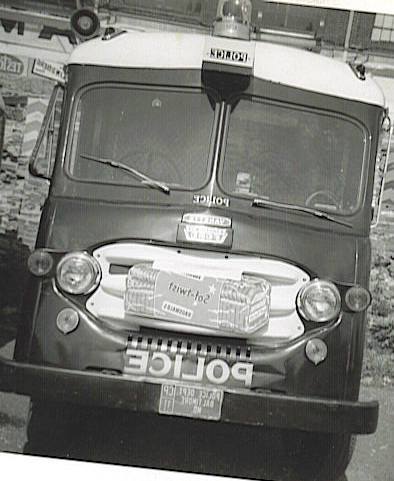 10365858 10202288517679781 8487288181464478605 n