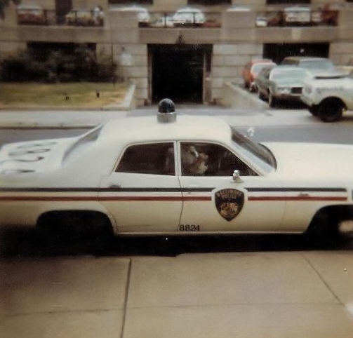 1974 Plymouth Satelite101