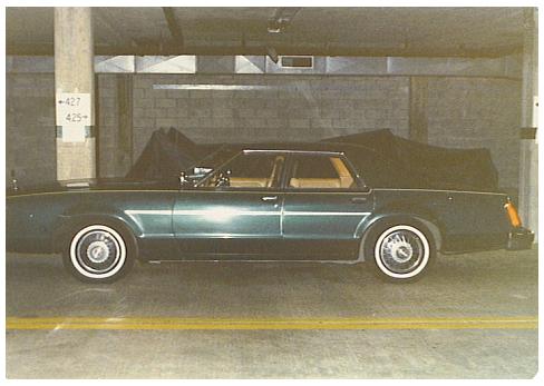 Marion Wiczulis 1982 3