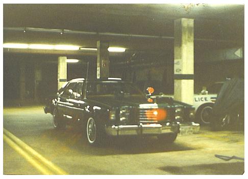 Marion Wiczulis 1982 4