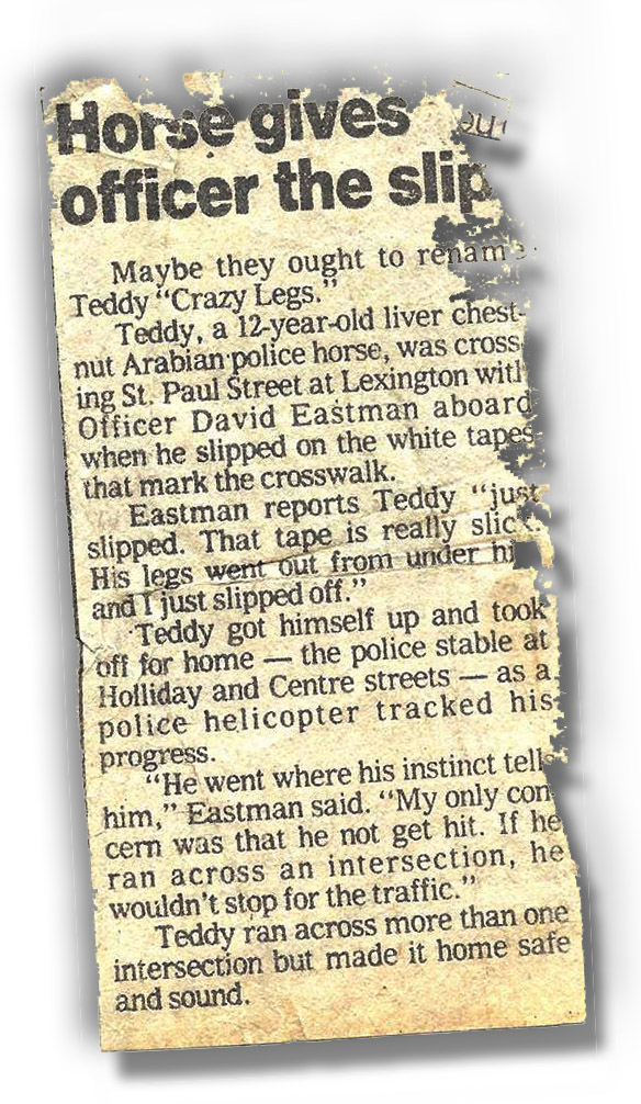 1526574 1092603467422973 103934876 n