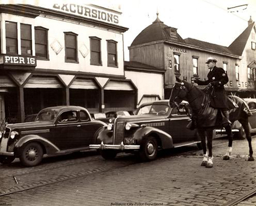 41334450 10213880368666839 3719540372389494784 n