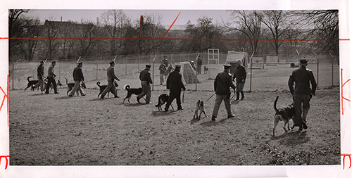 41334450 10213880368666839 3719540372389494784 n