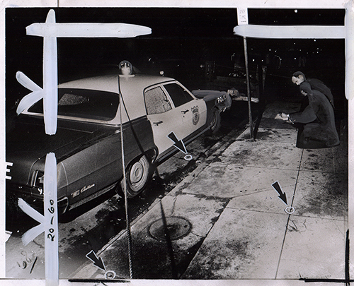 41334450 10213880368666839 3719540372389494784 n