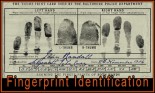 Fingerprint Identification