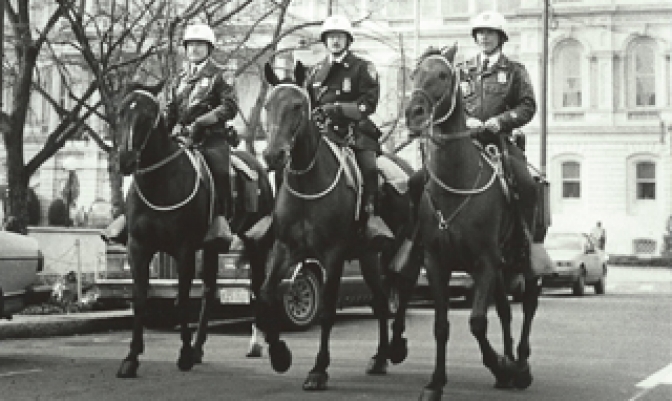 The Mounted Unit